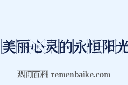 美丽心灵的永恒阳光是什么意思的图片